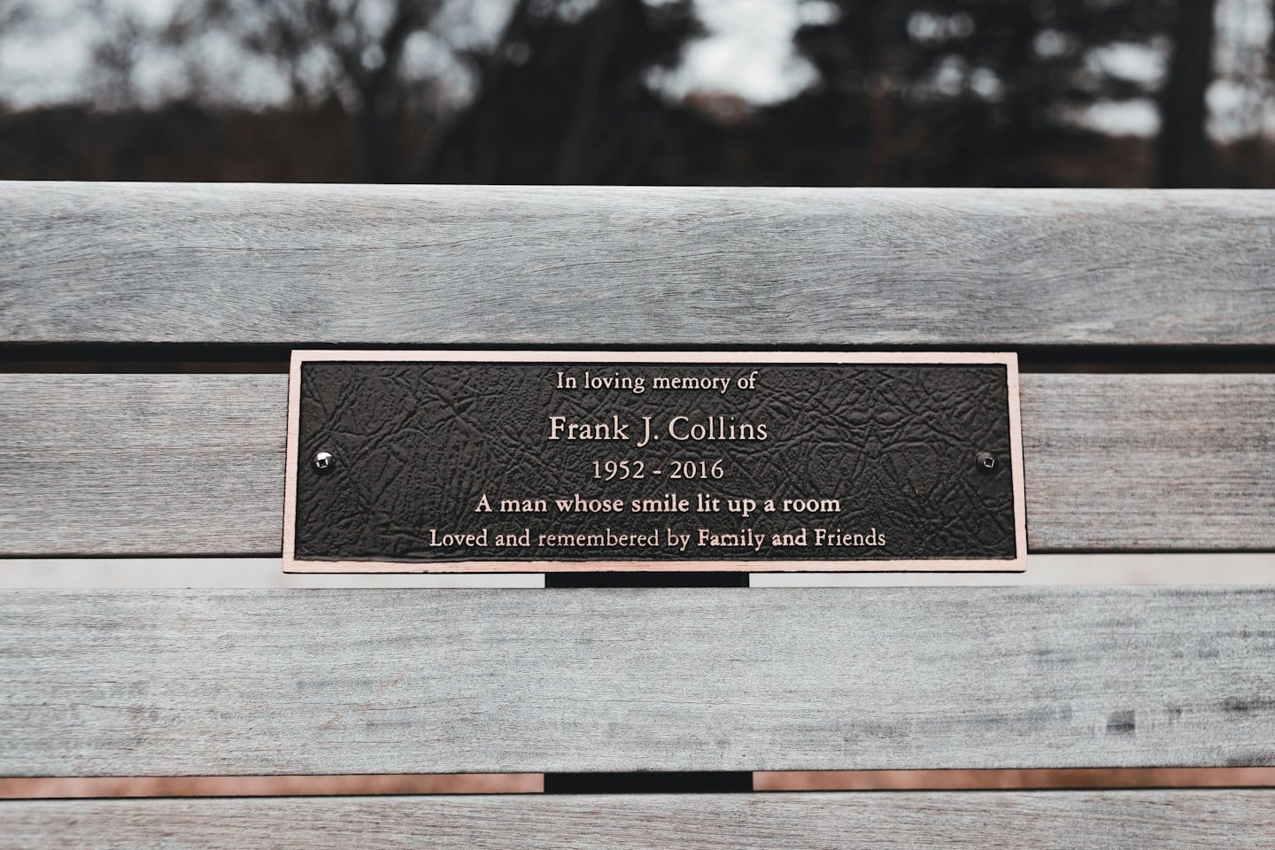 Placca commemorativa in bronzo su una panchina del parco.